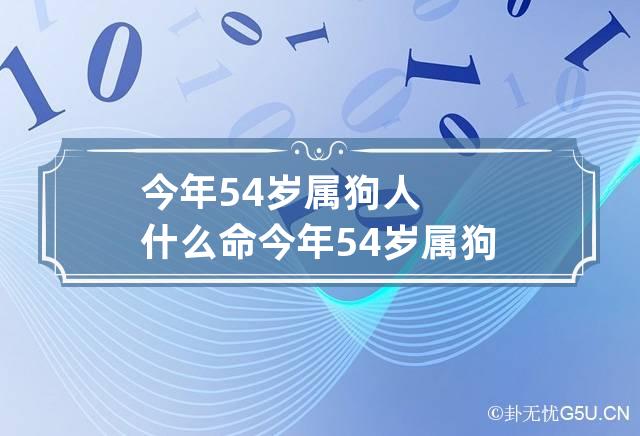 今年54岁属狗人什么命 今年54岁属狗人什么命格-第1张-星座-忧悟居