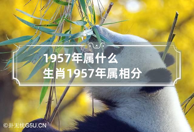 1957年属什么生肖?1957年属相分析 1957年属什么生肖的属性-第1张-星座-忧悟居