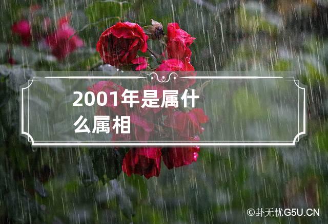 2001年是属什么属相-第1张-星座-忧悟居