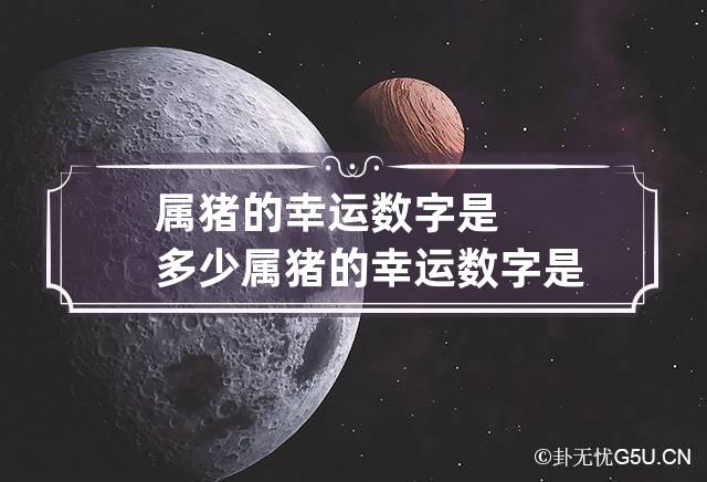 属猪的幸运数字是多少 属猪的幸运数字是多少?-第1张-星座-忧悟居