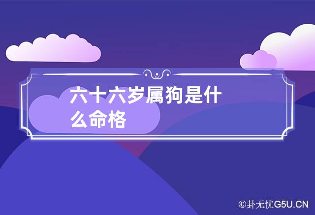 六十六岁属狗是什么命格-第1张-星座-忧悟居