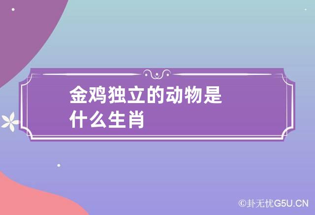 金鸡独立的动物是什么生肖-第1张-星座-忧悟居