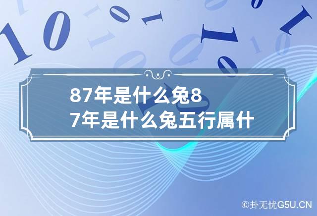 87年是什么兔 87年是什么兔五行属什么-第1张-星座-忧悟居