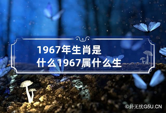 1967年生肖是什么 1967属什么生肖属相-第1张-星座-忧悟居