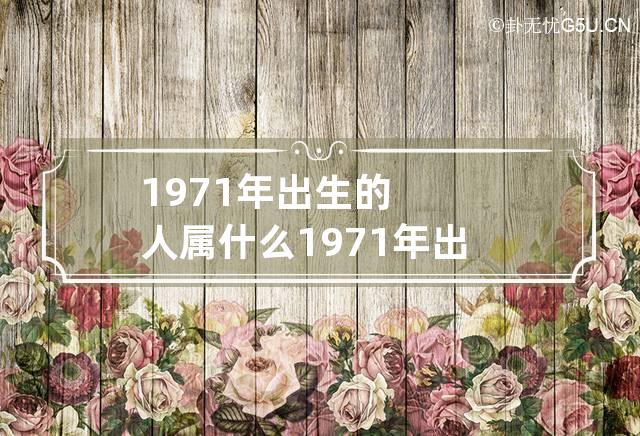 1971年出生的人属什么 1971年出生的人属什么生肖-第1张-星座-忧悟居