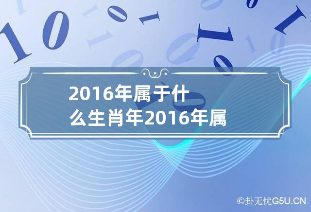 2016年属于什么生肖年2016年属于什么年庚-第1张-星座-忧悟居