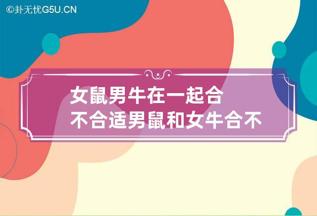 女鼠男牛在一起合不合适 男鼠和女牛合不合适婚姻-第1张-星座-忧悟居