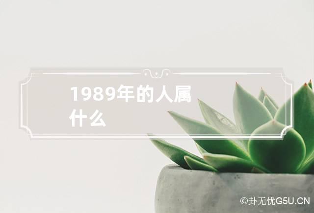 1989年的人属什么-第1张-星座-忧悟居