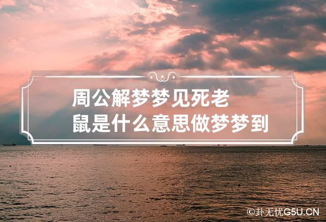 周公解梦梦见死老鼠是什么意思 做梦梦到死老鼠代表什么？好不好-第1张-解梦-忧悟居