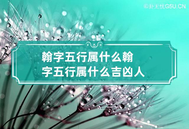 翰字五行属什么 翰字五行属什么吉凶人-第1张-起名-忧悟居