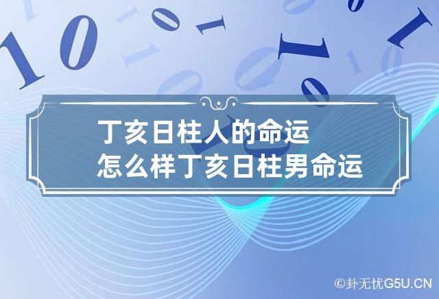 丁亥日柱人的命运怎么样 丁亥日柱男命运-第1张-八字-忧悟居